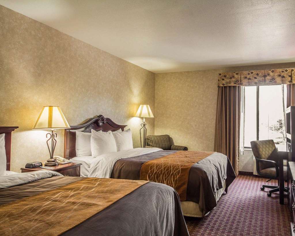Comfort Inn Silicon Valley East Fremont Kamer foto