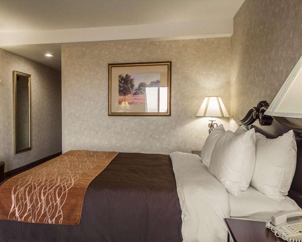 Comfort Inn Silicon Valley East Fremont Kamer foto